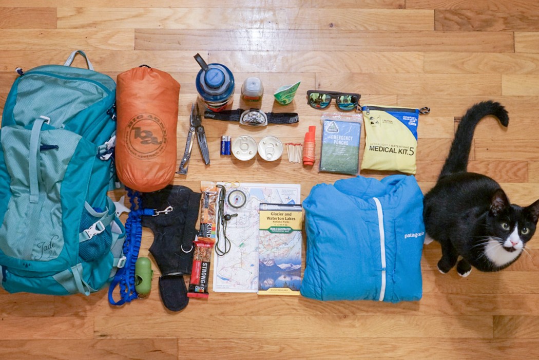 What to pack: 14 essentials for hiking and camping with a cat