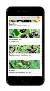 Wild Edibles app