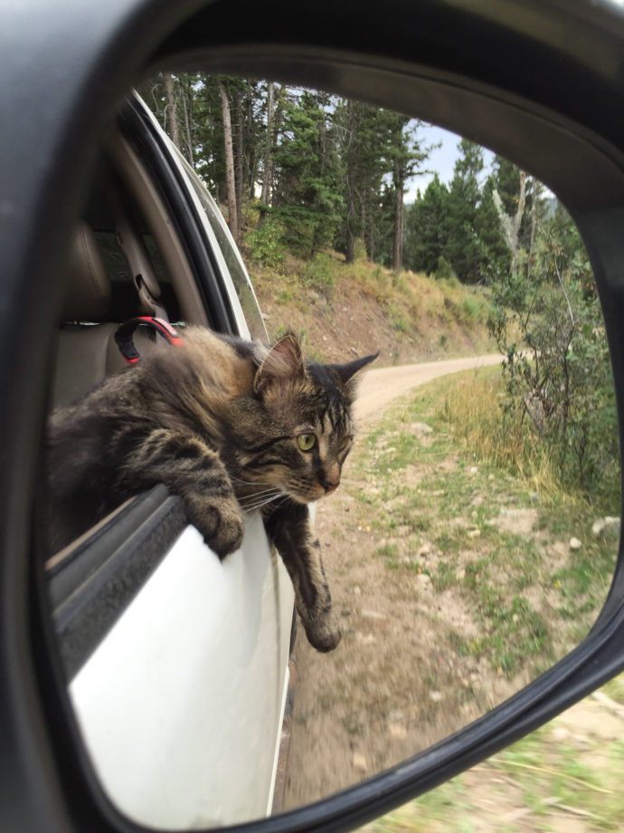 Otie takes on Big Sky Country – Adventure Cats