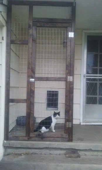 Catio Hacks Every Cat Owner Should Know