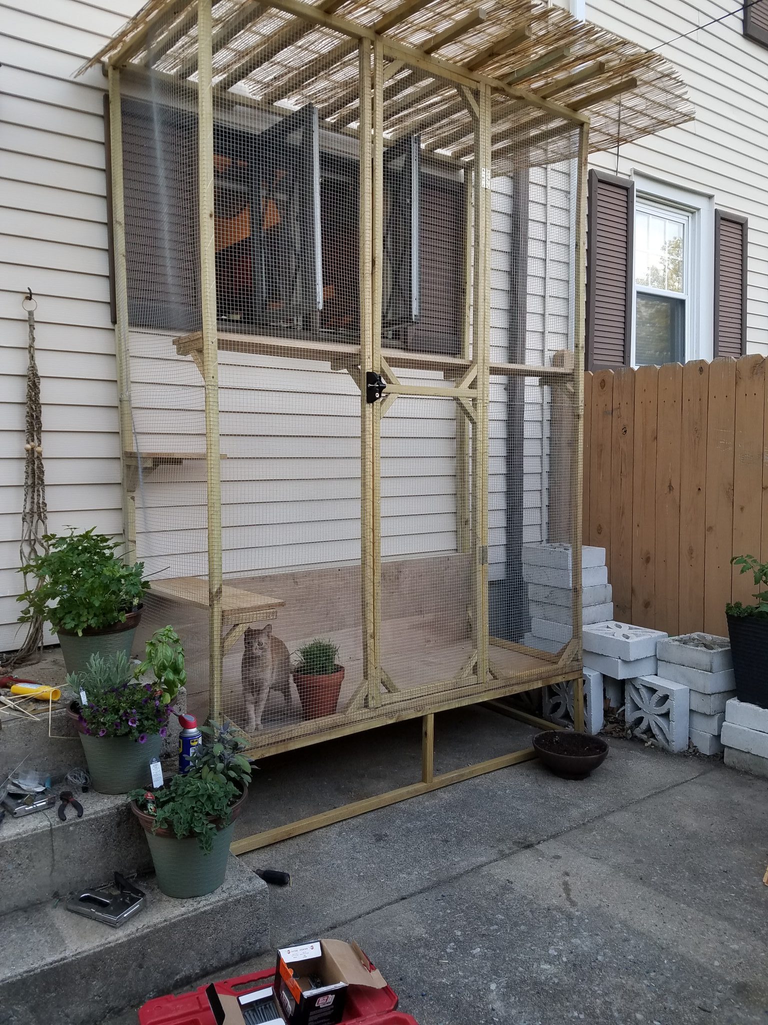 Catio Hacks Every Cat Owner Should Know